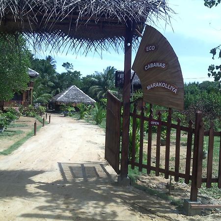Eco Cabanas Marakolliya تانجالي المظهر الخارجي الصورة