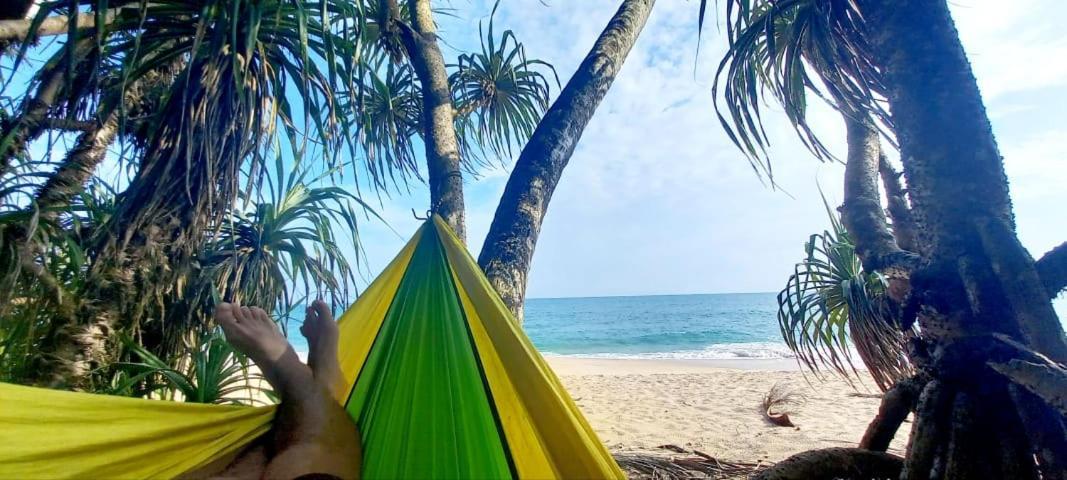 Eco Cabanas Marakolliya تانجالي المظهر الخارجي الصورة